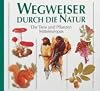 Wegweiser durch die Natur: Die Tiere und Pflanzen Mitteleuropas