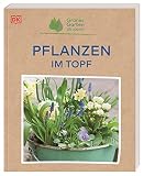 Pflanzen im Topf
