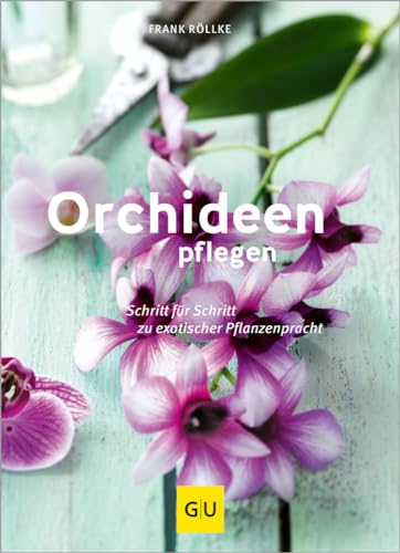 Orchideen pflegen – Schritt für Schritt