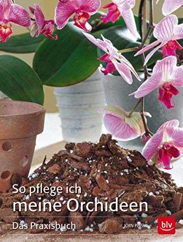 So pflege ich meine Orchideen – Das Praxisbuch