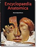Buencyclopaedia Anatomica Italien Espagnol Portugais 