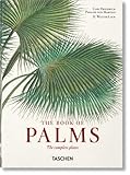 Von Martius. the Book of Palms.