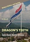 Dragon’s Teeth: Tales from North Kosovo (Balkan Politics and Society)