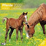 Pferde 2020 Wandkalender Broschrenkalender Im Hochformat Aufgeklappt 30x60 Cm Geschenkkalender Mit Monatskalendarium Zum Eintragen