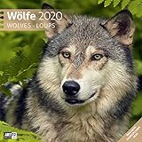 Wlfe 2020 Wandkalender Broschrenkalender Im Hochformat Aufgeklappt 30x60 Cm Geschenkkalender Mit Monatskalendarium Zum Eintragen