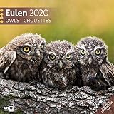 Eulen 2020 Wandkalender Broschrenkalender Im Hochformat Aufgeklappt 30x60 Cm Geschenkkalender Mit Monatskalendarium Zum Eintragen