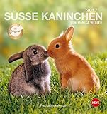 Se Kaninchen 2017 Postkartenkalender