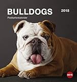 Bulldogs 2018 Postkartenkalender
