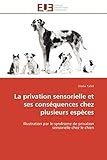La Privation Sensorielle Et Ses Cons%C3%A9quences Chez Plusieurs Esp%C3%A8ces