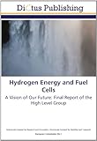 Hydrogen Energy And Fuel Cells A Vision Of Our Future Final Report Of The High Level Group