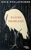 Kleine Probleme: Roman