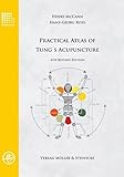Practical Atlas Of Tung's Acupuncture