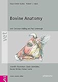 Bovine Anatomy An Illustrated Text Second Edition