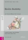 Bovine Anatomy