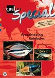 Aqualog Special Breathtaking Rainbows