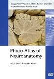 Photoatlas Of Neuroanatomy With Dvd Presentation Bookdvd Set