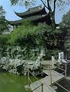 Gardens in Suzhou