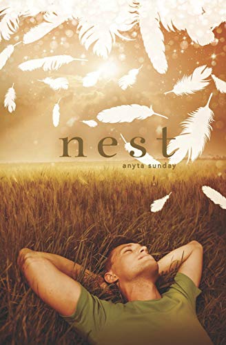 Nest book cover