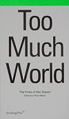 Too Much World: The Films of Hito Steyerl