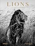 Lions