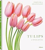Tulips Photography