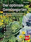 Der optimale Gemüsegarten