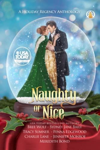 Naughty or Nice book cover