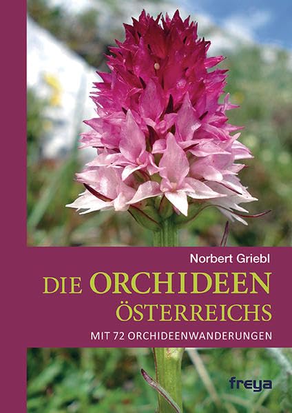 Die Orchideen Österreichs – mit Orchideenwanderungen