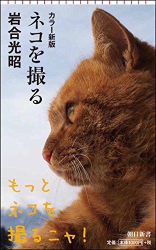 カラー新版ネコを撮る