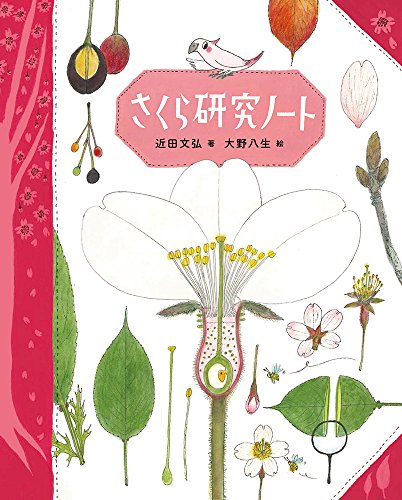 一気にわかる！池上彰の世界情勢２０１８ 国際紛争、一触即発編