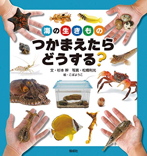一気にわかる！池上彰の世界情勢２０１８ 国際紛争、一触即発編