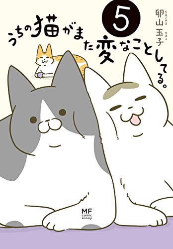 Amazonで卵山 玉子のうちの猫がまた変なことしてる。5 (メディアファクトリーのコミックエッセイ)。アマゾンならポイント還元本が多数。卵山 玉子作品ほか、お急ぎ便対象商品は当日お届けも可能。またうちの猫がまた変なことしてる。5 (メディアファクトリーのコミックエッセイ)もアマゾン配送商品なら通常配送無料。