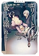 エリートΩは夜に溺れて side Ω