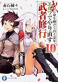 武に身を捧げて百と余年。エルフでやり直す武者修行10