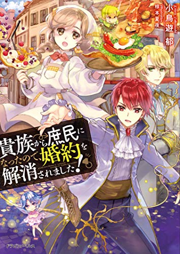 貴族から庶民になったので、婚約を解消されました!(1)