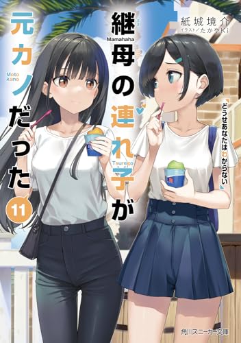 継母の連れ子が元カノだった11 どうせあなたはわからない