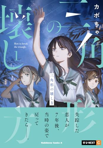 三角形の壊し方の表紙