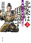 北条は退かず(上) 激闘、三増峠の戦い(1)