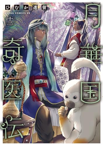 月華国奇医伝　第十三巻（13）