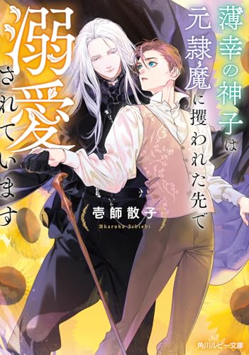 薄幸の神子は元隷魔に攫われた先で溺愛されています