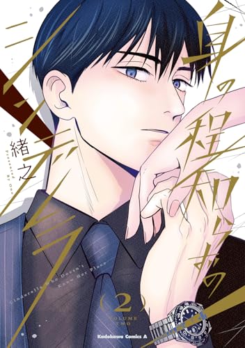 身の程知らずのシンデレラ（2）