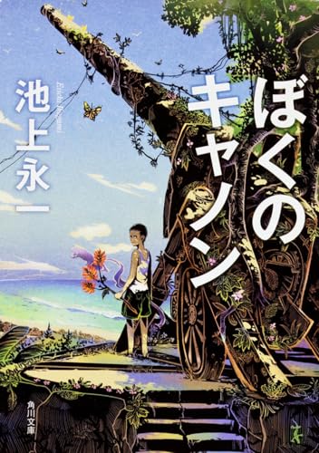 池上永一『ぼくのキャノン』表紙