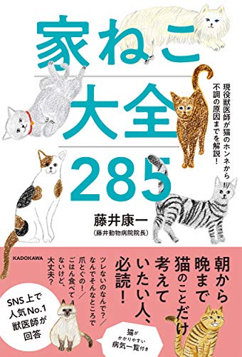 Amazon.co.jp： 現役獣医師が猫のホンネから不調の原因までを解説! 家ねこ大全 285: 藤井 康一: 本