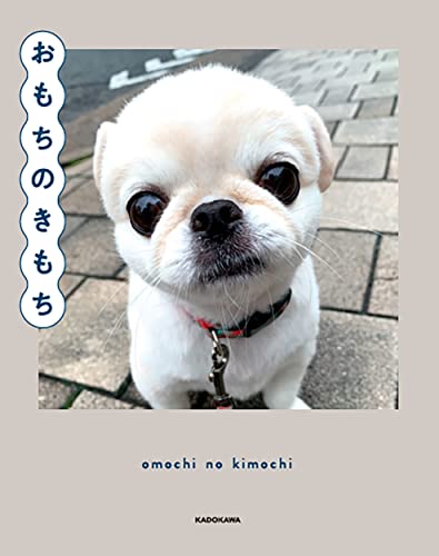 おもちのきもちの表紙
