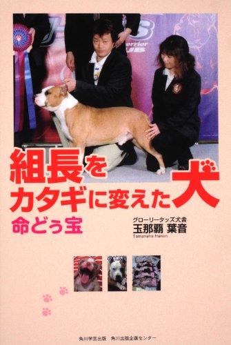 一気にわかる！池上彰の世界情勢２０１８ 国際紛争、一触即発編