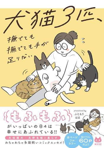 犬猫3匹、撫でても撫でても手が足りない