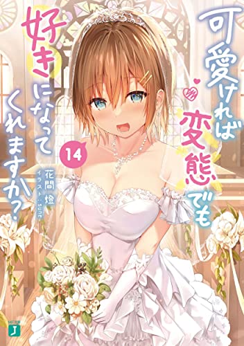 可愛ければ変態でも好きになってくれますか? 14