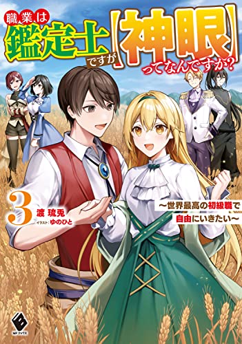 職業は鑑定士ですが【神眼】ってなんですか? ～世界最高の初級職で自由にいきたい～ 3