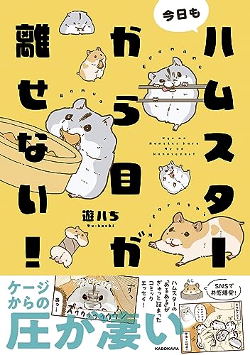 一気にわかる！池上彰の世界情勢２０１８ 国際紛争、一触即発編