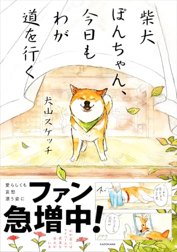 一気にわかる！池上彰の世界情勢２０１８ 国際紛争、一触即発編